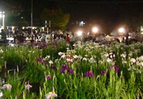 花しょうぶと音楽の夕べの画像