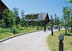 Maishima Outdoor activities center
