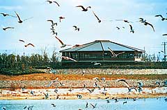 Nanko Bird Sanctuary