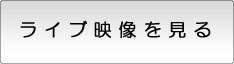 ���C�u�f��������