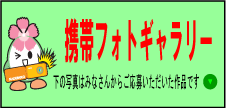 携帯フォトギャラリー