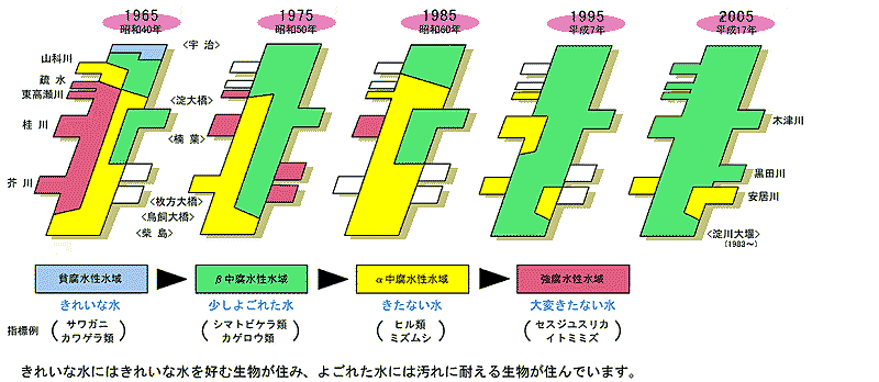 淀川水質汚濁防止連絡協議会　平成18年度　琵琶湖・淀川生物障害等調査小委員会　報告書（第33報）から引用