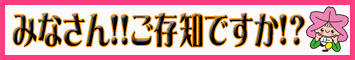 延長窓口休日開庁