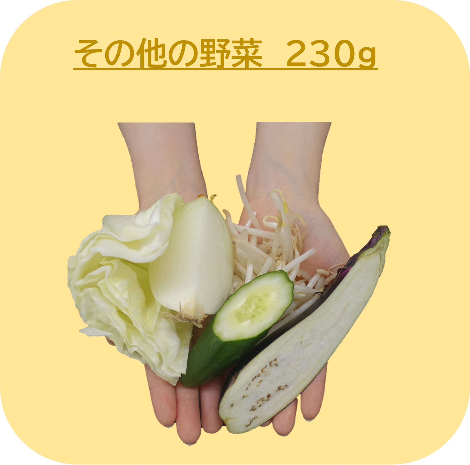 その他の野菜230グラムの図