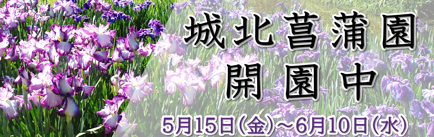 城北菖蒲園