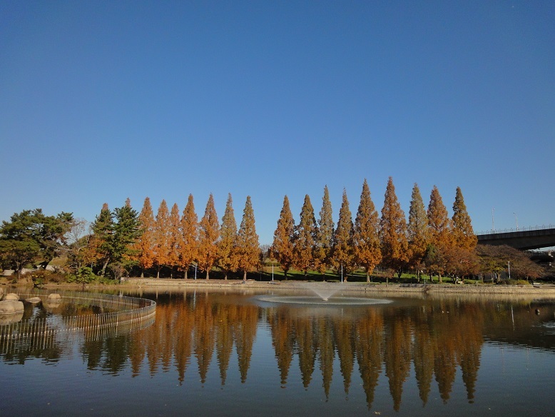 城北公園の池