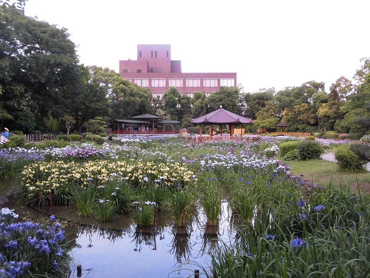 菖蒲園