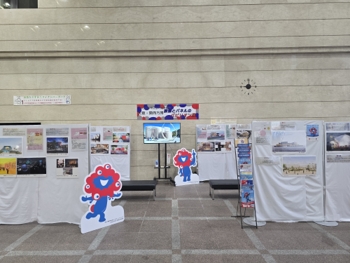 過去のパビリオン展示の様子