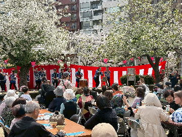 中大江校下　桜まつりお茶会の様子4