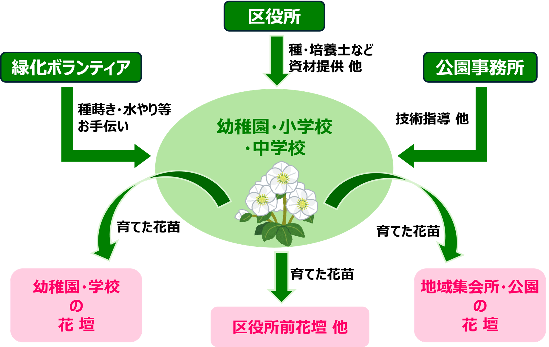 種から育てる地域の花づくり（たねはな）事業紹介