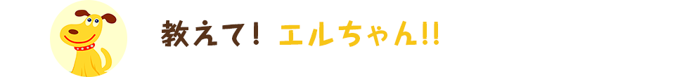 教えて！エルちゃん！！