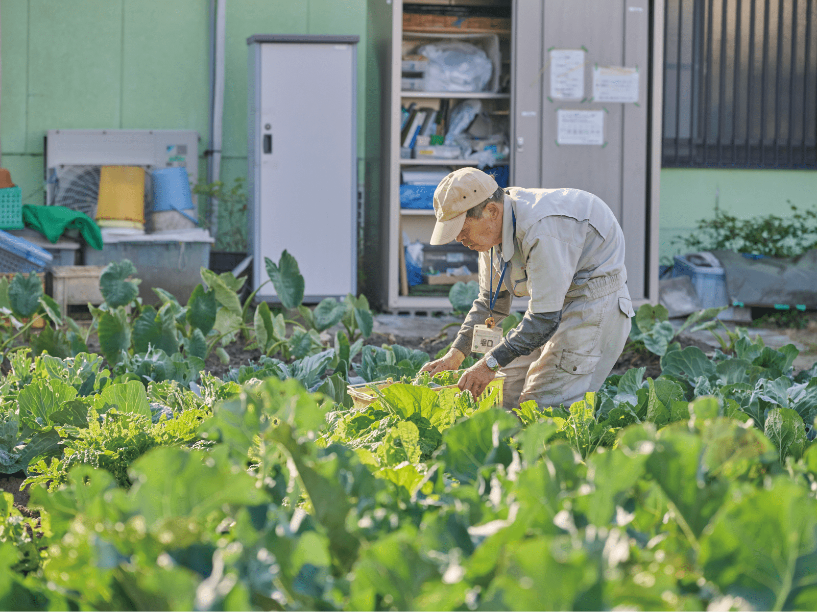 介護予防のイメージ画像