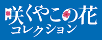 咲くやこの花コレクション 石橋栄実ソプラノコンサート「心のうた」