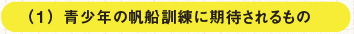 （１）青少年の帆船訓練に期待されるもの