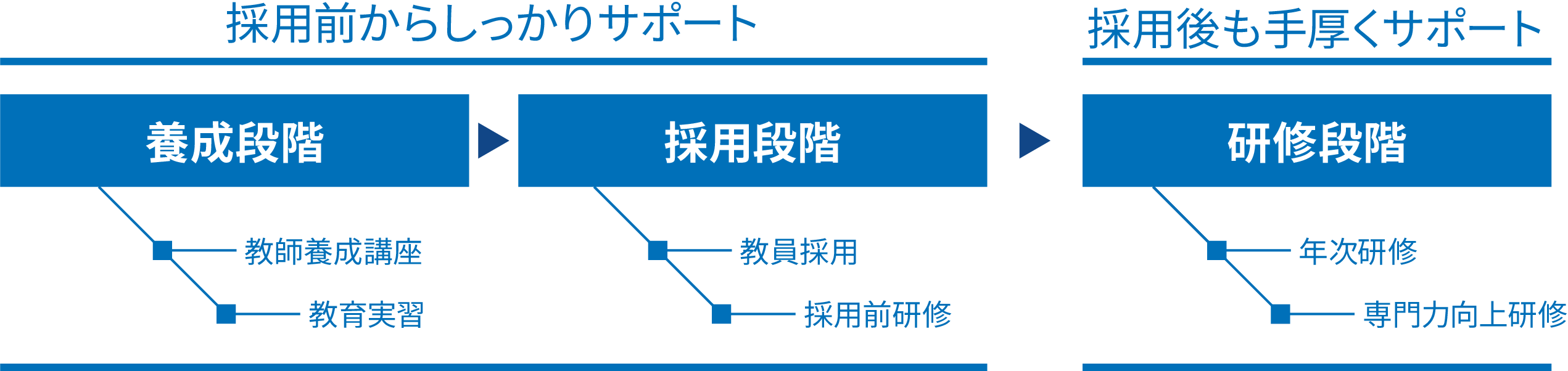 養成段階、採用段階を採用前からサポートし、研修段階として採用後も手厚くサポートする。養成段階には「教師養成講座」と「教育実習」採用段階には「教員採用」「採用前研修」、研修段階には「年次研修」専門力向上研修がある