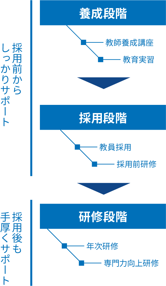 養成段階、採用段階を採用前からサポートし、研修段階として採用後も手厚くサポートする。養成段階には「教師養成講座」と「教育実習」採用段階には「教員採用」「採用前研修」、研修段階には「年次研修」専門力向上研修がある