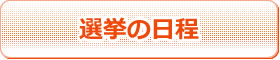 選挙の日程