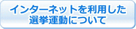インターネットを利用した選挙運動について