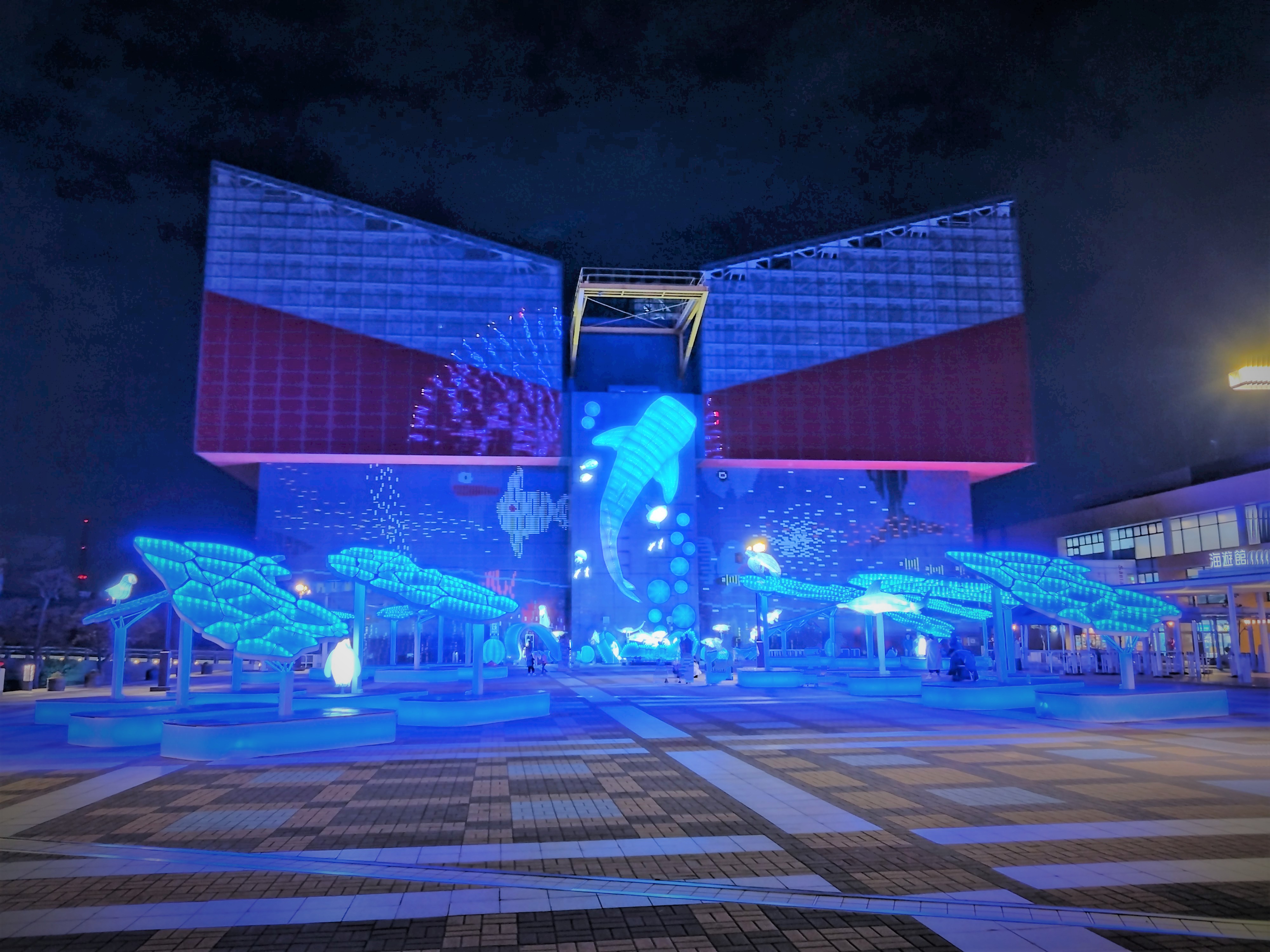 海遊館ブルーライトアップの写真