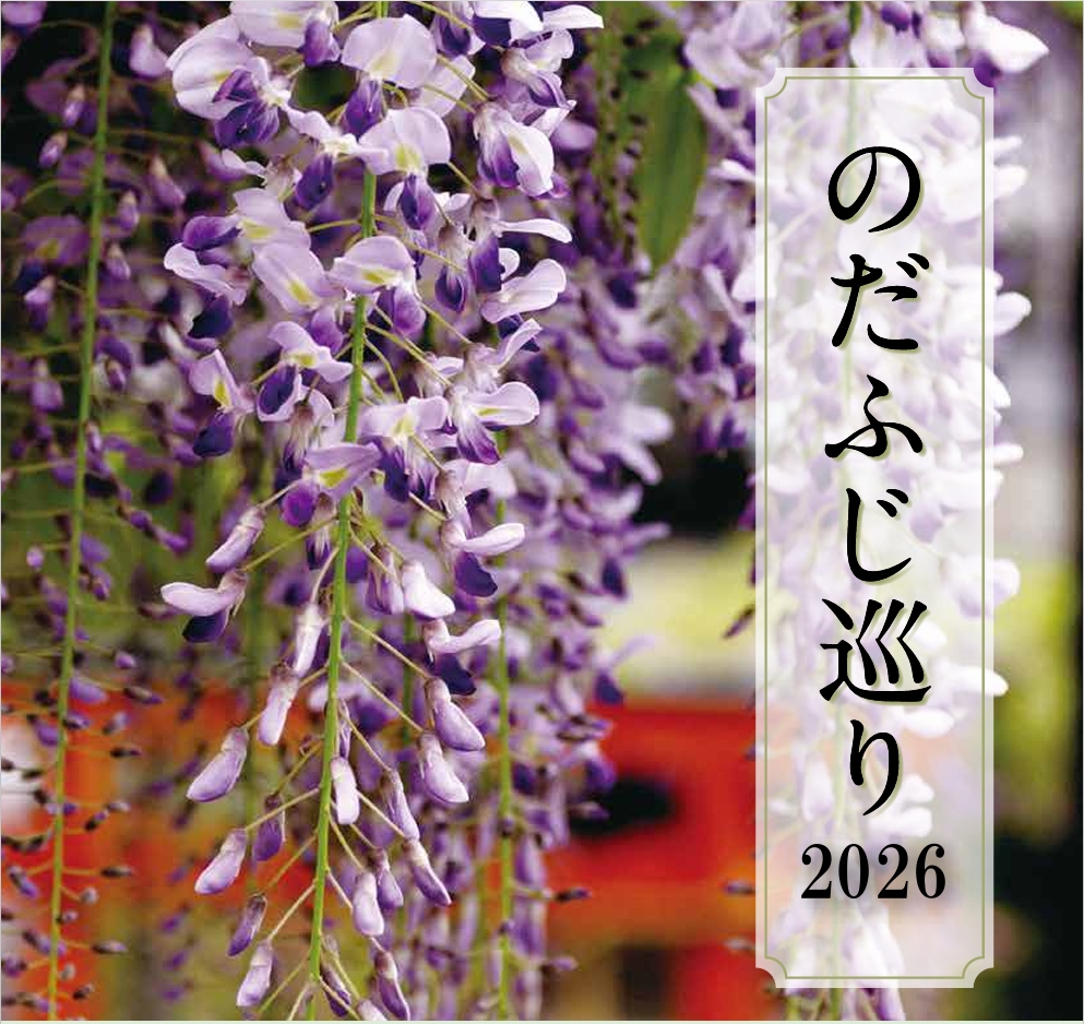 のだふじ巡り2026