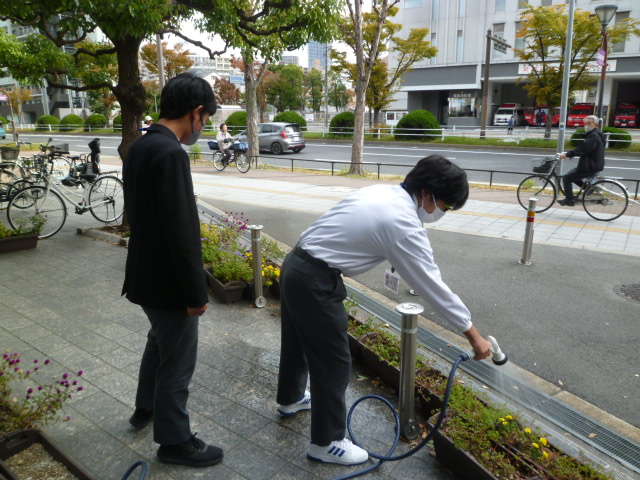 花壇に水やりをしている様子