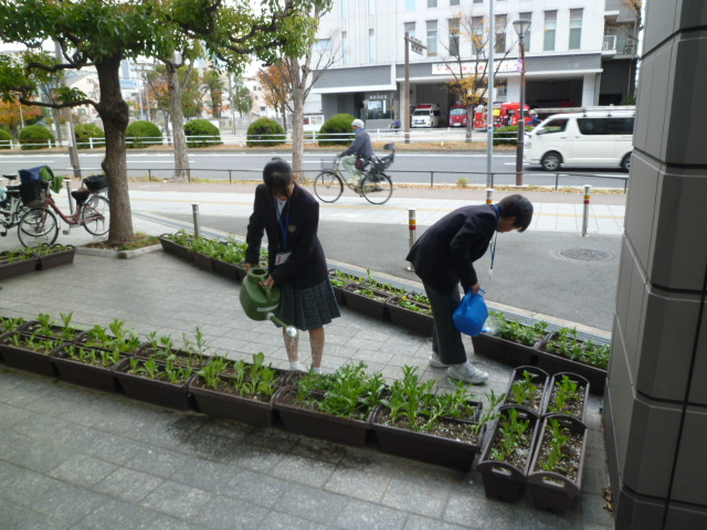 花壇に水やりをする様子