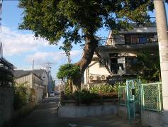 住道(須牟地)廃寺跡