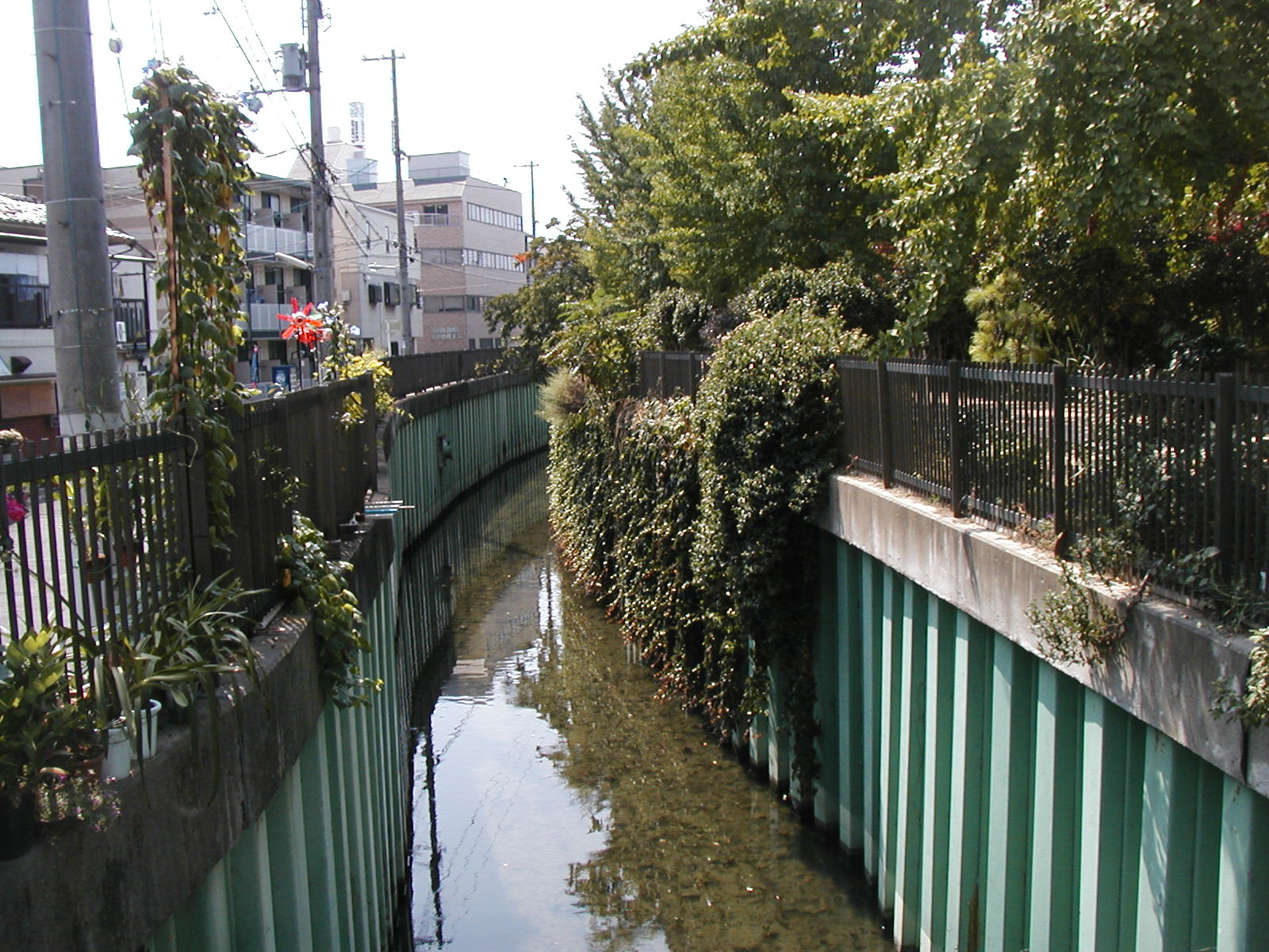 鳴戸川