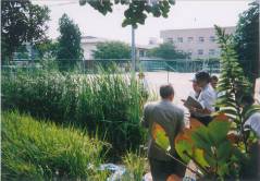 東田辺小学校の ビオトープ