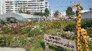クラインガルテン広場