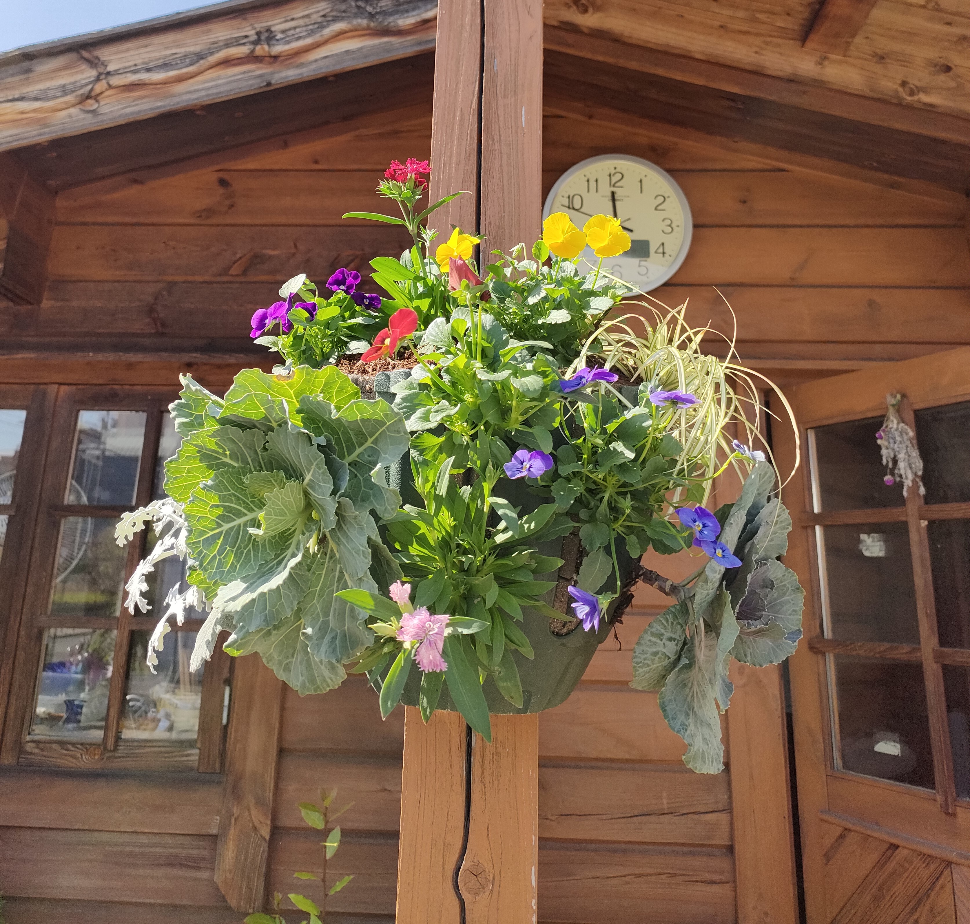 壁などに吊るす寄せ植え