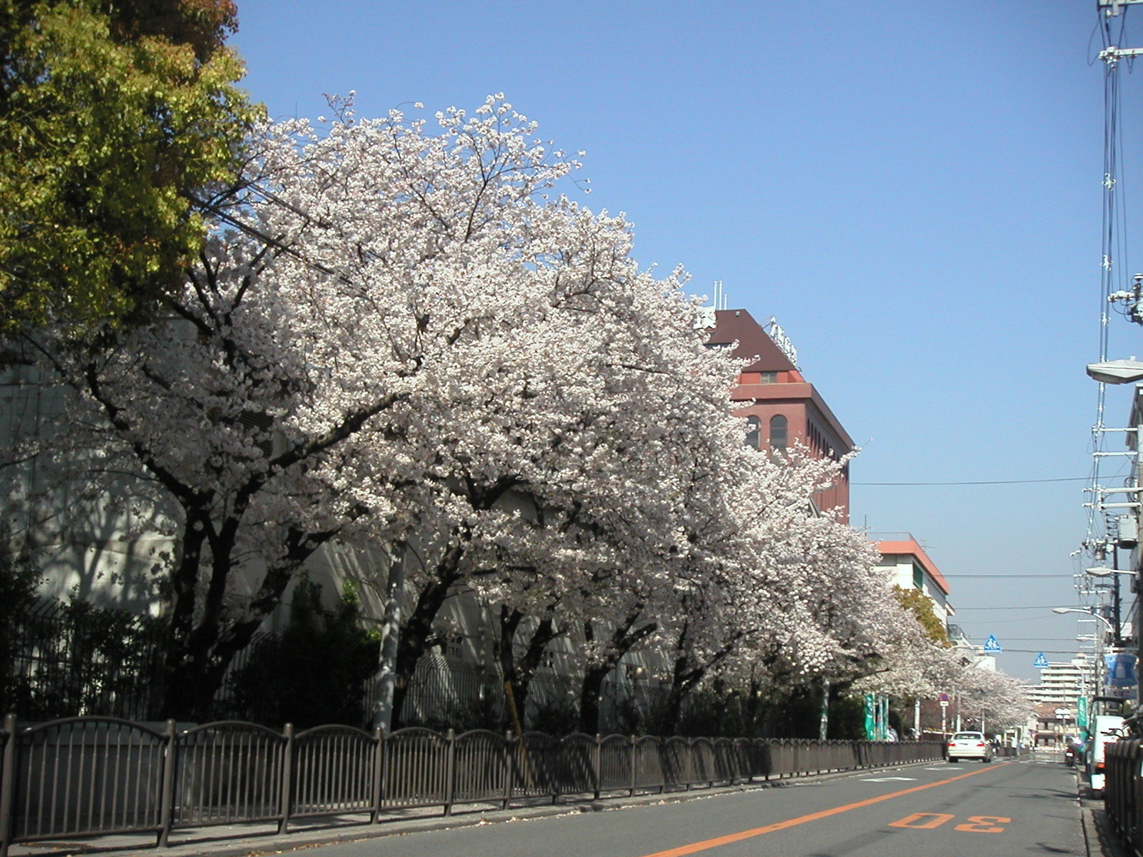 大阪市東淀川区淡路 大阪府大阪市東淀川区「淡路商店街」 : 風じゃ~