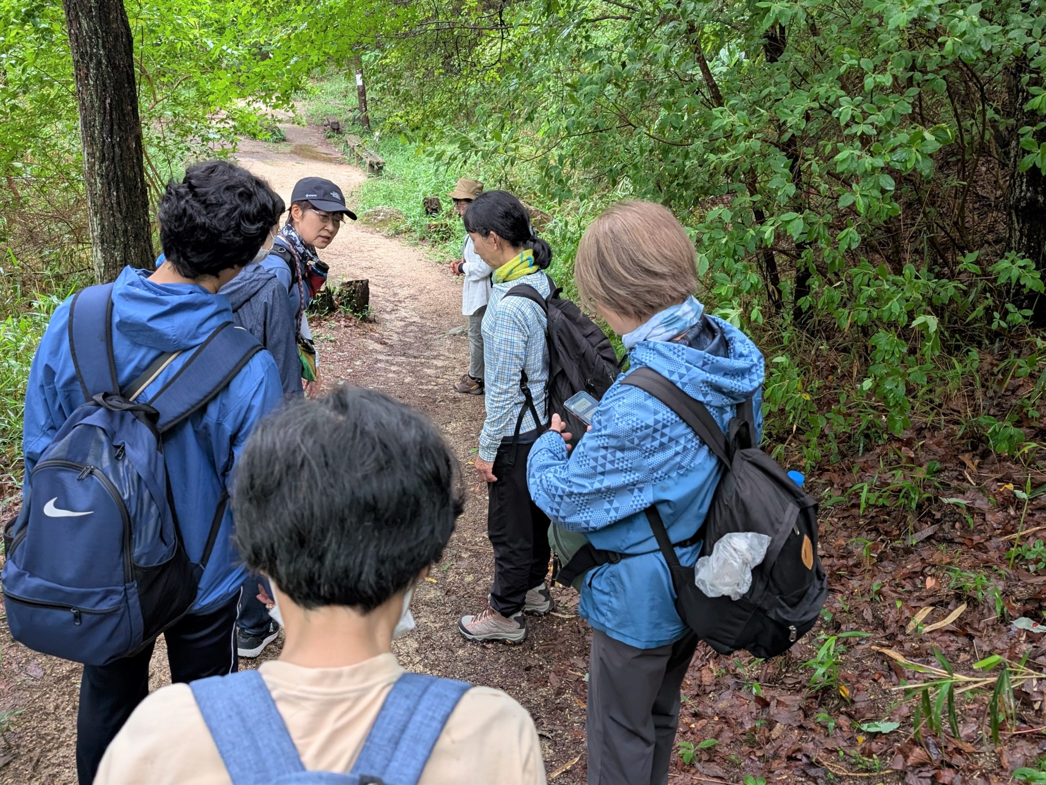 山歩きでの歩き方説明