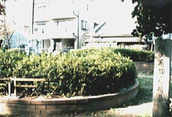 坂上廣野麿の墓／写真