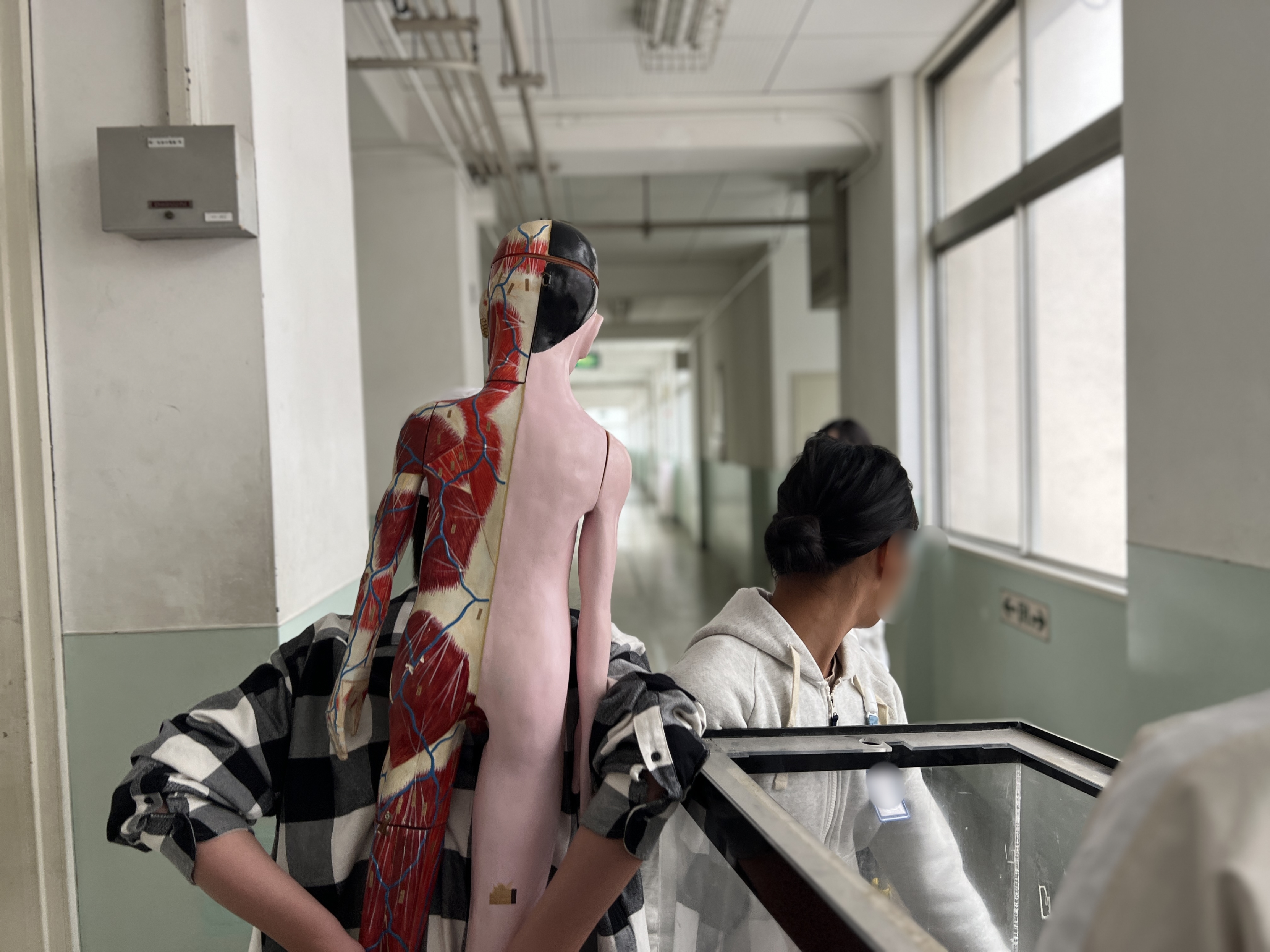 写真（2）校内でものさがしの写真