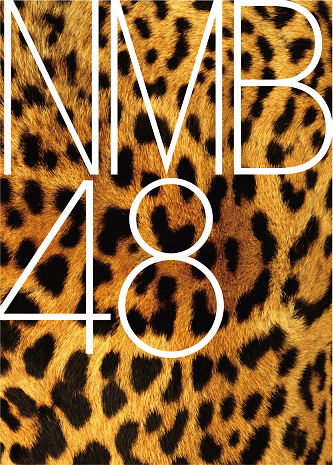 NMB48のロゴ画像