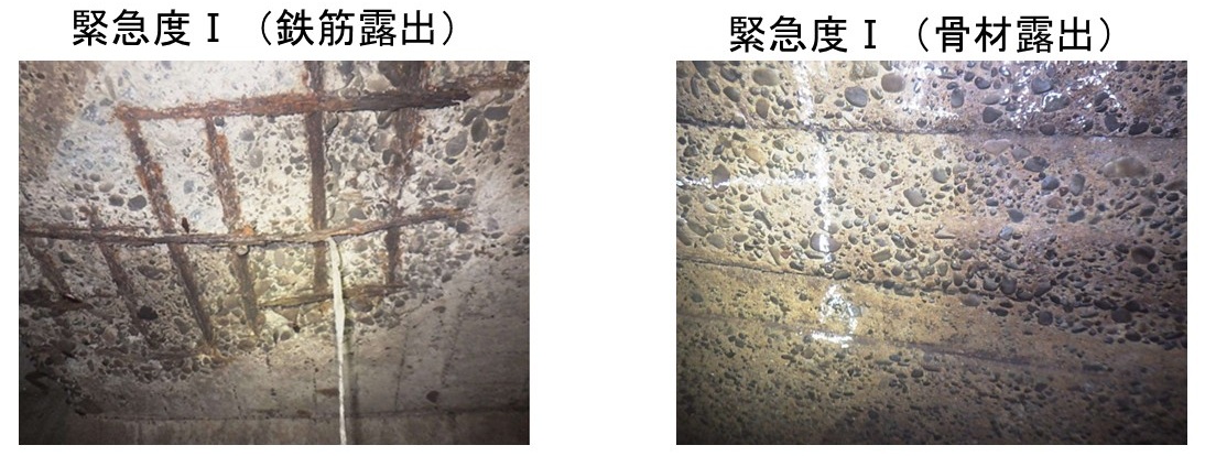 全国特別重点調査結果の例