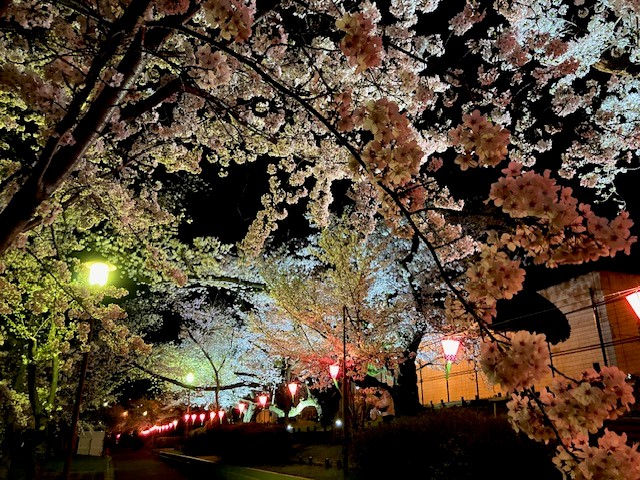 ライトアップされた会場内の写真