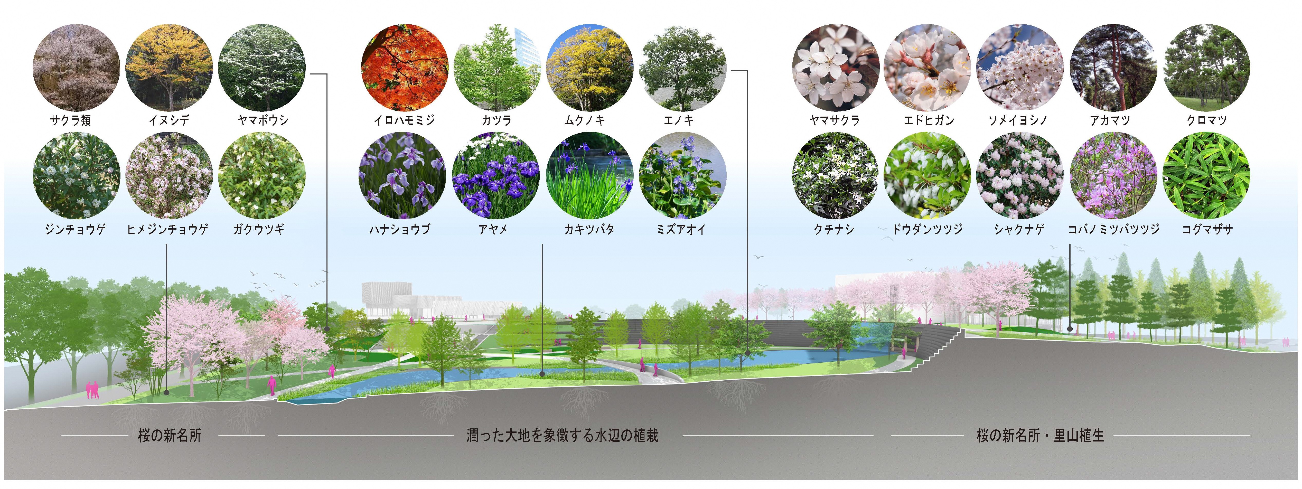 植栽を並べた図