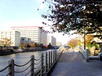 現在の城北川と遊歩道の画像
