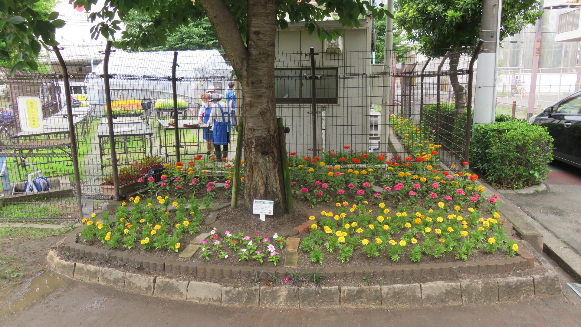 花壇の完成