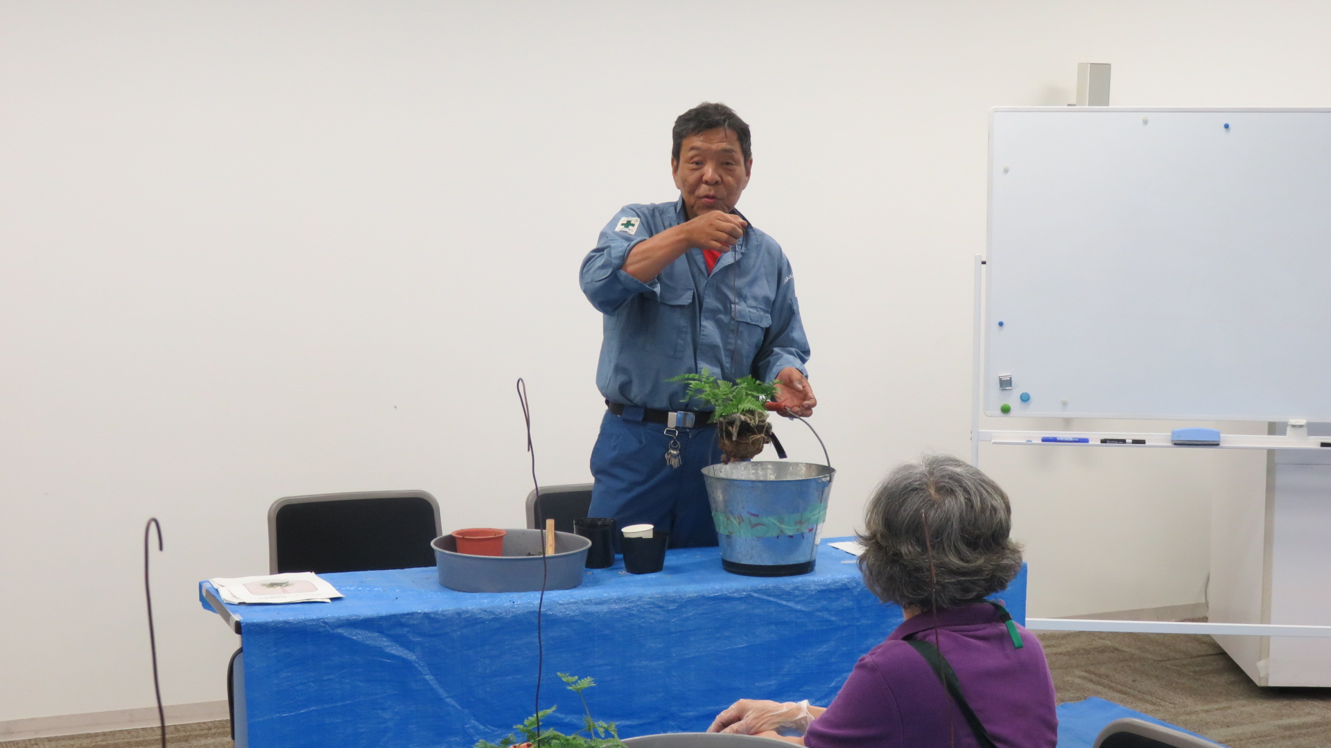 出来上がったツリシノブの育成方法の説明