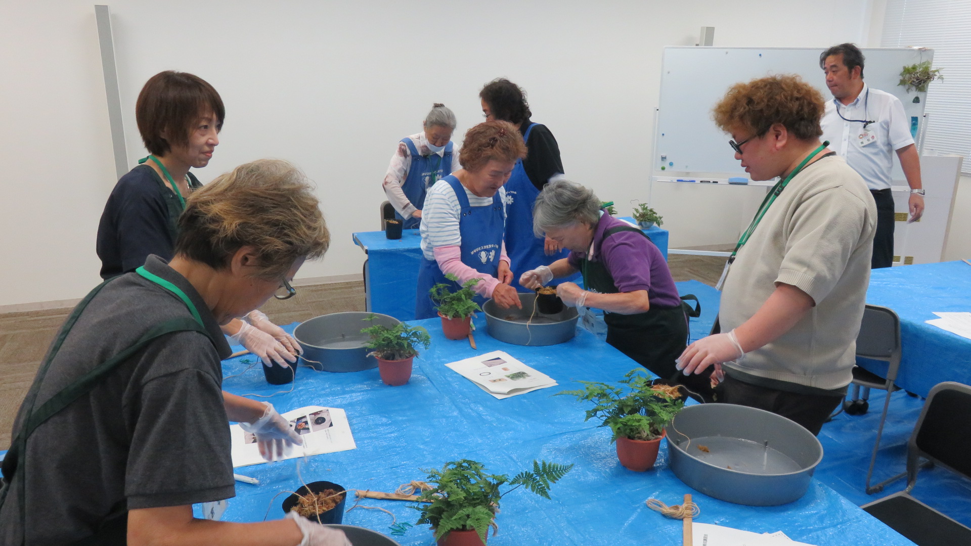ツリシノブ実習の様子
