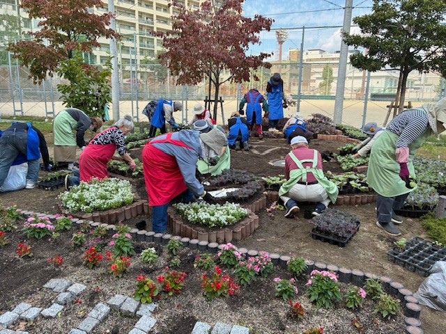 植え替え作業の様子