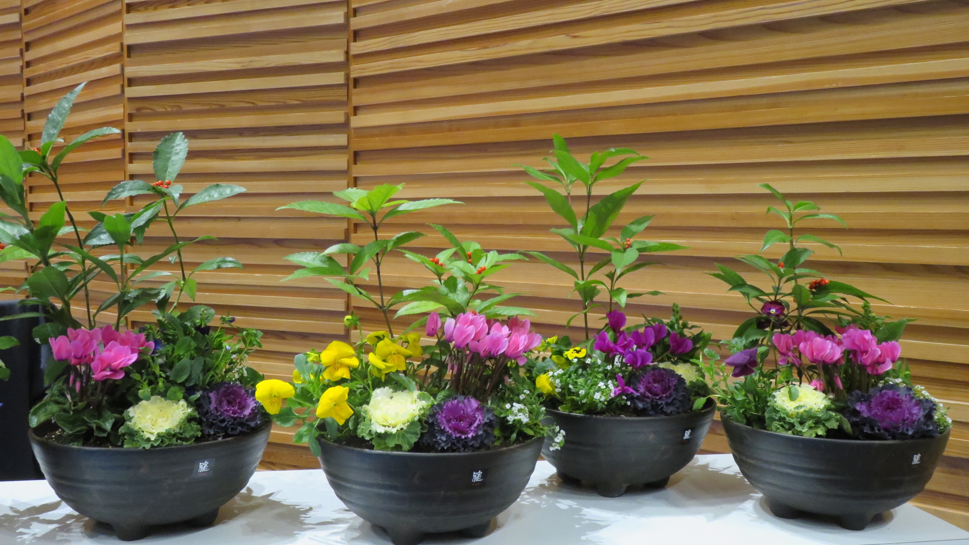 完成した寄せ植え