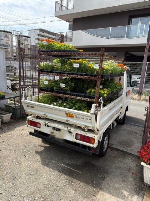 花苗が出発する様子