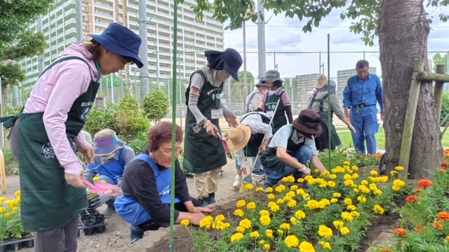 植栽する様子