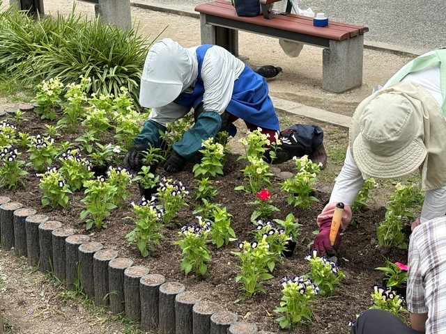 記念花壇植え付け