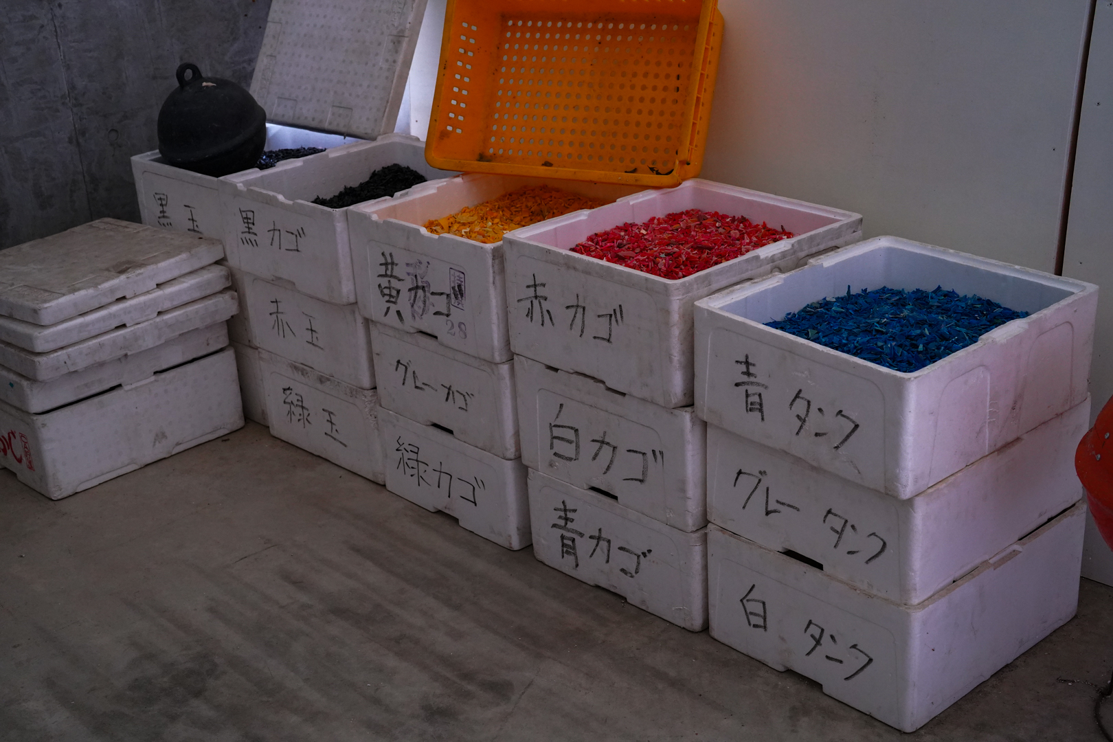 色ごとに分別された海洋プラスチック