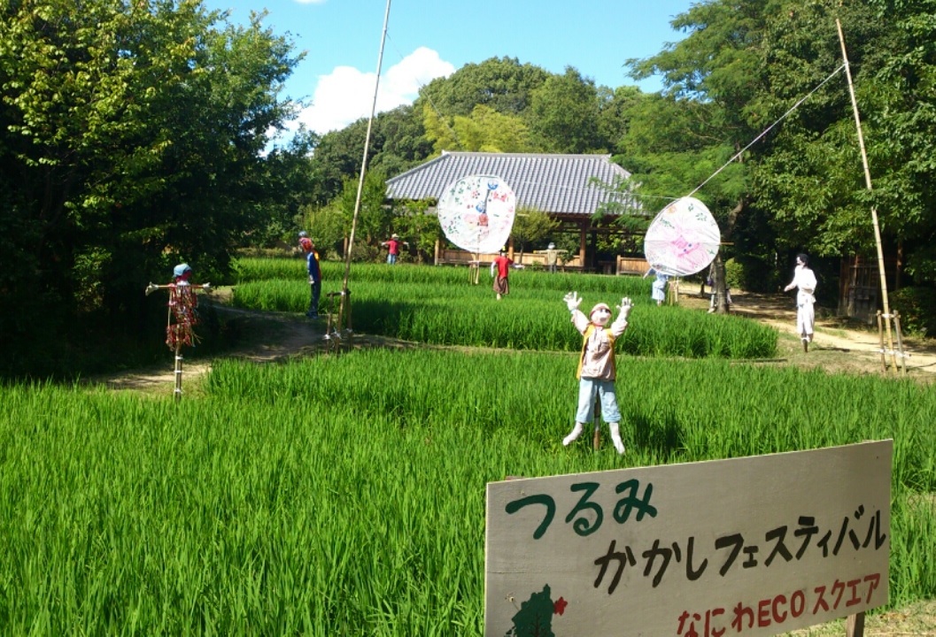 8月頃の田んぼの写真です